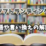 『ソフトランディング』の言い換えとは？類語の意味や使い方を解説