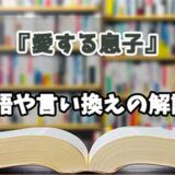 『愛する息子』の言い換えとは？類語の意味や使い方を解説