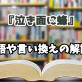 『泣き面に蜂』の言い換えとは？類語の意味や使い方を解説